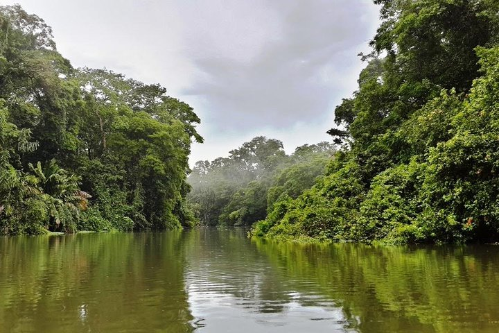 Full day at Tortuguero wild life observation at caribbean side all inclusive - Photo 1 of 3